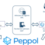 peppol.png
